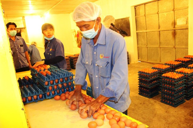 Ba Huân và VinaCapital “chia tay trong vui vẻ” - Hình 2 Ba Huan va VinaCapital “chia tay trong vui ve”-Hinh-2