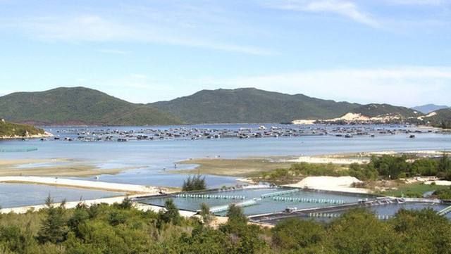 Thủ tướng yêu cầu phải quan tâm vấn đề lựa chọn nhà đầu tư chiến lược vào các đặc khu. Thủ tướng yêu cầu phải quan tâm vấn đề lựa chọn nhà đầu tư chiến lược vào các đặc khu.