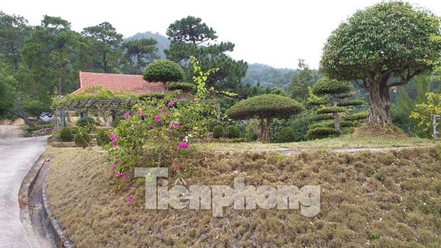 Càng vào sâu, "biệt phủ" này còn nhiều công trình nguy nga, đường đi lối lại chằng chịt vắt trên sườn núi. Thậm chí ông Long còn xây dựng cả chùa trên đất rừng khi chưa được cơ quan chức năng cho phép.