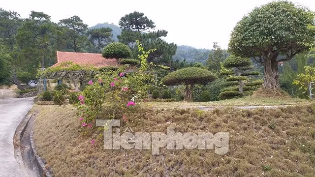 Càng vào sâu, "biệt phủ" này còn nhiều công trình nguy nga, đường đi lối lại chằng chịt vắt trên sườn núi. Thậm chí ông Long còn xây dựng cả chùa trên đất rừng khi chưa được cơ quan chức năng cho phép.