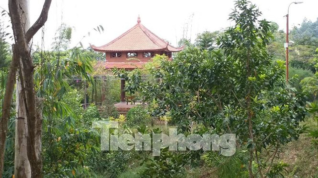 Giữa rừng, ông Long còn cho xây dựng những đài vọng cảnh hoành tráng được xếp sẵn ghế tiện cho việc thư giãn, nghỉ nghơi.