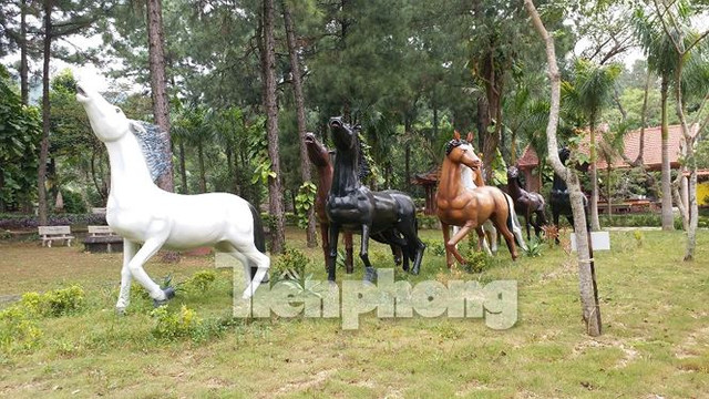 Chủ nhân "biệt phủ" dựng một đoàn ngựa đá với kích thước "khủng" ngay trong vườn nhà.