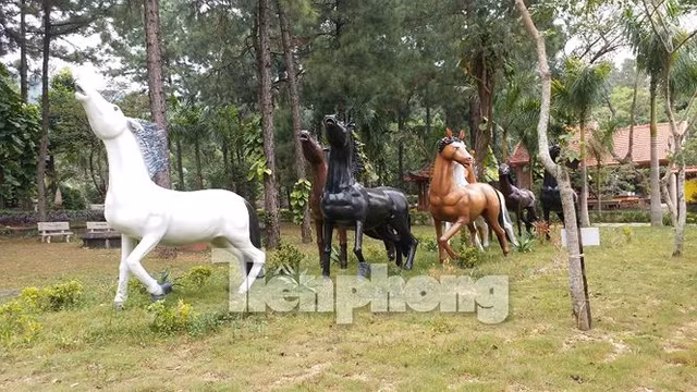 Chủ nhân "biệt phủ" dựng một đoàn ngựa đá với kích thước "khủng" ngay trong vườn nhà.