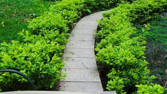 Hồ Gương đang mang hơn 20 loại gạch đá với nhiều hình dạng, kích thước, hoa văn khác nhau. Các viên gạch vuông có cạnh 20cm, 30cm, 50cm tùy loại.