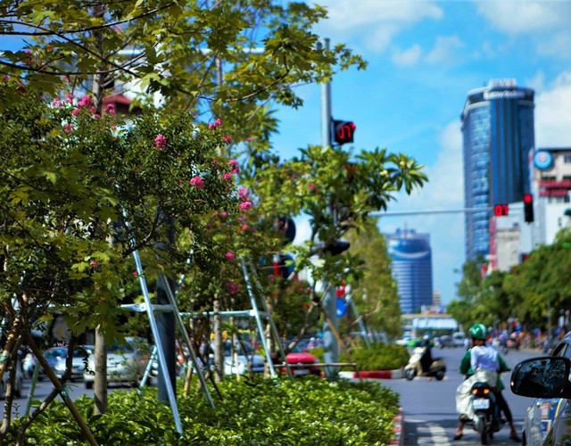 Tầng trên cùng là cây phong, tầng giữa là hoa tường vi cánh mỏng màu hồng và tầng dưới cùng là các loài hoa như: Râm bụt, trang đỏ,… được trồng theo từng đoạn. Tầng trên cùng là cây phong, tầng giữa là hoa tường vi cánh mỏng màu hồng và tầng dưới cùng là các loài hoa như: Râm bụt, trang đỏ,… được trồng theo từng đoạn.