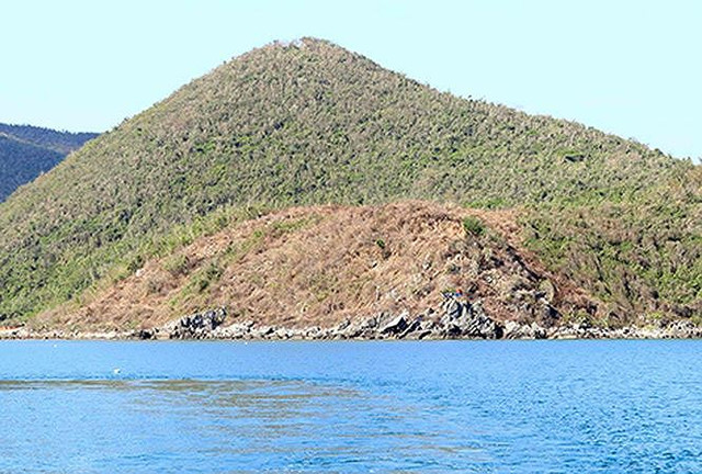 Nhiều hecta đất tại vịnh Vân Phong, huyện Vạn Ninh bị đào bới, cây cối bị đốn hạ. Ảnh: An Phước. Nhiều hecta đất tại vịnh Vân Phong, huyện Vạn Ninh bị đào bới, cây cối bị đốn hạ. Ảnh: An Phước.