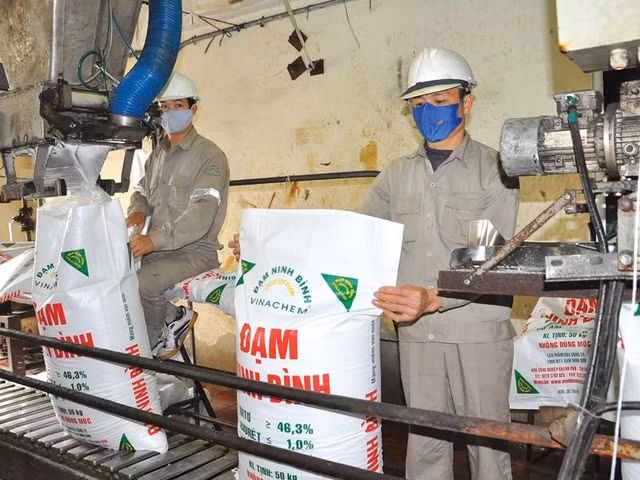 Kết quả sản xuất kinh doanh 6 tháng đầu năm 2017 của Đạm Ninh Bình lỗ 386,94 tỷ đồng.