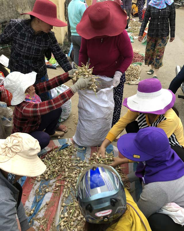 Tỏi tươi được bán la liệt tại lề đường ở chợ Lý Sơn. Tỏi tươi được bán la liệt tại lề đường ở chợ Lý Sơn.