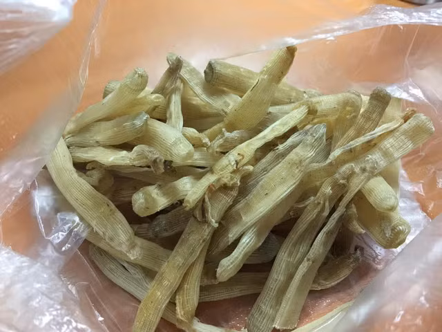 Nhiều người đang săn mua loại sá sùng ngon nhất thị trường với giá 4-5 triệu đồng/kg.