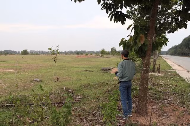 Vẫn là cỏ mọc um tùm.