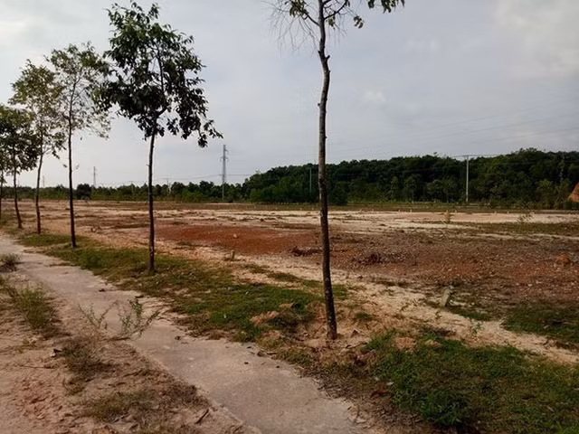 Khi phân lô bán nền, đơn vị này hứa sẽ giao giấy chứng nhận ngay cho khách nếu thanh toán đủ tiền và đúng tiến độ. Cam kết là vậy, nhưng trên thực tế hàng trăm khách hàng bỏ tiền mua đất tại khu đô thị này sau gần 10 năm vẫn chưa được cấp sổ đỏ dù đã thanh toán đủ tiền theo yêu cầu.