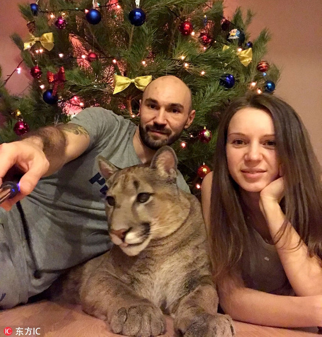 Cả hai cho thú cưng cùng ngủ, cùng ăn với mình. Cả hai cho thú cưng cùng ngủ, cùng ăn với mình.