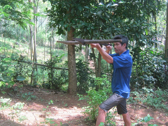 Dù không còn săn bắn nhưng người Dao ở đây vẫn làm nỏ, và sử dụng như một bản năng tự vệ.