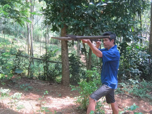 Dù không còn săn bắn nhưng người Dao ở đây vẫn làm nỏ, và sử dụng như một bản năng tự vệ.