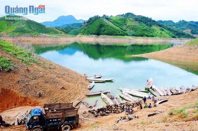 Cảnh lạ: Hồ “mọc” gỗ, dân đổ xô xuống cắt, kiếm 300 ngàn/ngày Canh la: Ho “moc” go, dan do xo xuong cat, kiem 300 ngan/ngay