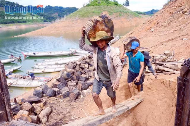 Canh la: Ho “moc” go, dan do xo xuong cat, kiem 300 ngan/ngay-Hinh-2