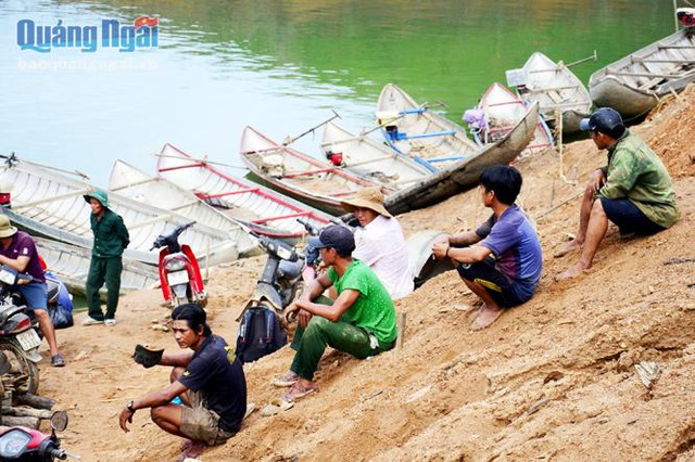 Cảnh lạ: Hồ “mọc” gỗ, dân đổ xô xuống cắt, kiếm 300 ngàn/ngày - Hình 3 Canh la: Ho “moc” go, dan do xo xuong cat, kiem 300 ngan/ngay-Hinh-3