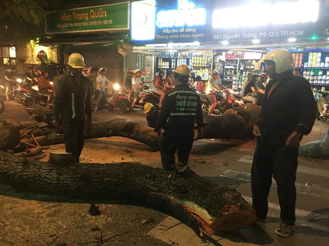 Cổ thụ đổ đè hàng tạp hóa, nhiều người kẹt bên trong Co thu do de hang tap hoa, nhieu nguoi ket ben trong