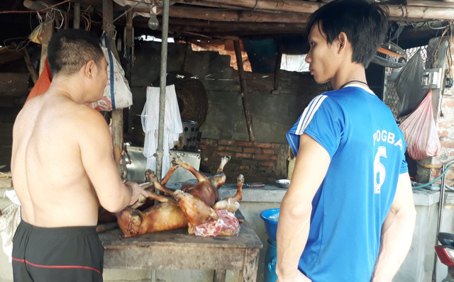 Chủ lò mổ chó lãi bạc triệu tiết lộ nguyên nhân bỏ nghề Chu lo mo cho lai bac trieu tiet lo nguyen nhan bo nghe