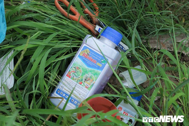 Rùng mình cảnh thuốc sâu phun như "mưa phùn", tưới đẫm hoa Mê Linh Rung minh canh thuoc sau phun nhu