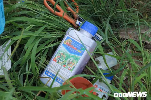 Rung minh canh thuoc sau phun nhu 