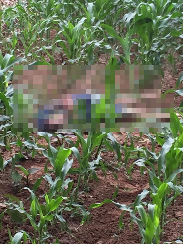 Hiện trường vụ việc. Hiện trường vụ việc.