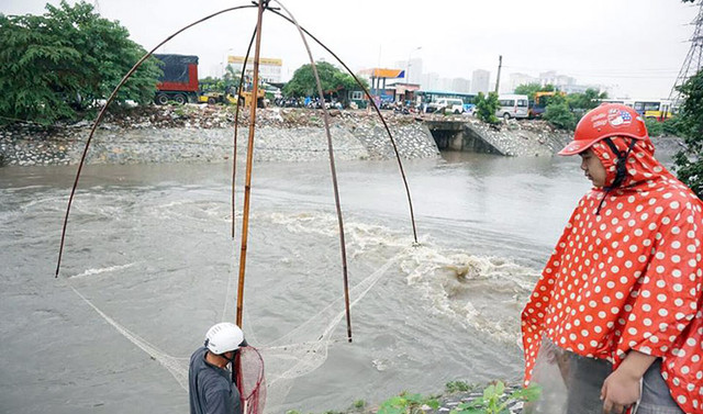 Ảnh: Mặc mưa lớn, dân Hà Nội hí hửng đổ ra sông bắt cá Anh: Mac mua lon, dan Ha Noi hi hung do ra song bat ca