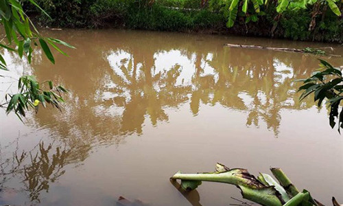 Vì đâu em rể chém chị dâu tới tấp đến nguy kịch? Vi dau em re chem chi dau toi tap den nguy kich?