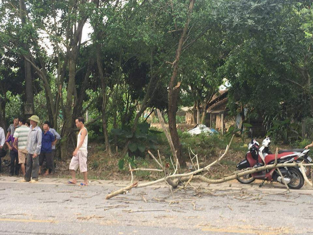 Xót xa đôi nam nữ sắp cưới thương vong vì cành cây rơi trúng - Hình 2 Xot xa doi nam nu sap cuoi thuong vong vi canh cay roi trung-Hinh-2