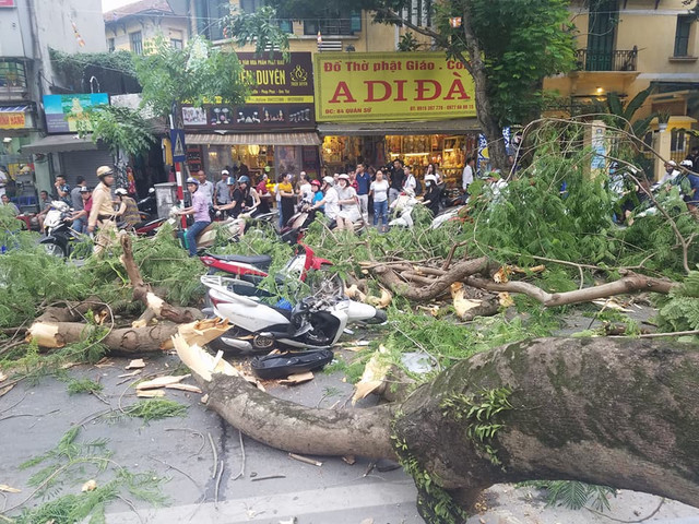 Cây xanh gãy đổ đè trúng 5 người đi đường, khiến các nạn nhân bị thương nặng. Cây xanh gãy đổ đè trúng 5 người đi đường, khiến các nạn nhân bị thương nặng.