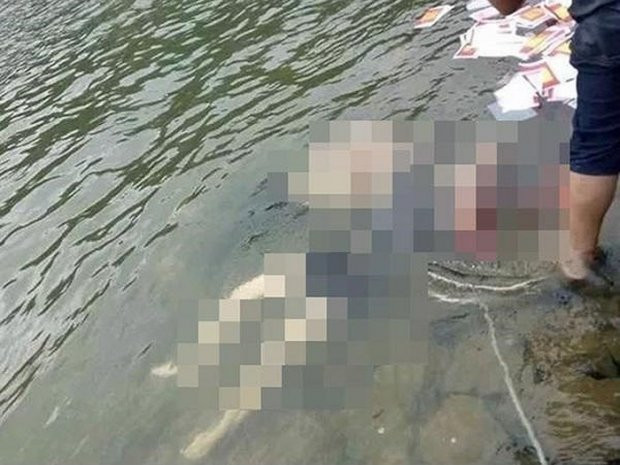 Ảnh minh họa. Ảnh minh họa.