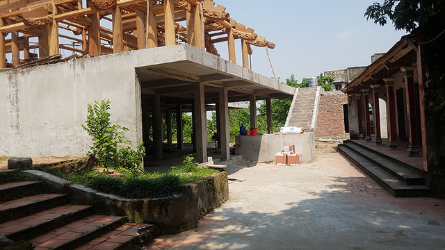 Ly kỳ cuộc chiến bảo vệ những gốc cây trăm tỷ đồng của nông dân - Hình 5 Ly ky cuoc chien bao ve nhung goc cay tram ty dong cua nong dan-Hinh-5