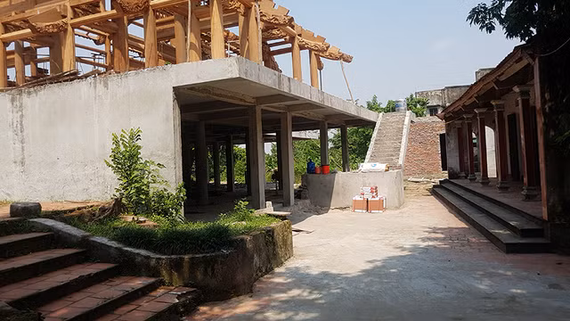 Ly kỳ cuộc chiến bảo vệ những gốc cây trăm tỷ đồng của nông dân - Hình 5 Ly ky cuoc chien bao ve nhung goc cay tram ty dong cua nong dan-Hinh-5
