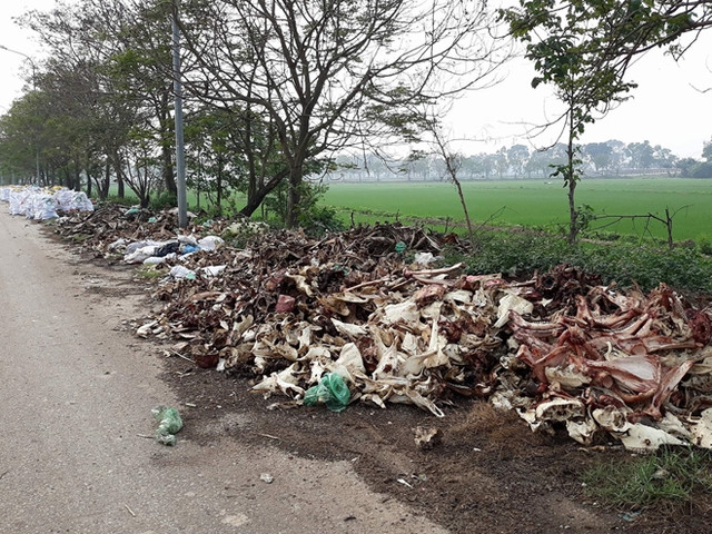 Để vào được ruộng nhà mình, nhiều hộ dân đã phải trèo lên những đống xương như thế này.