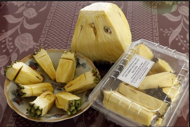 Vườn mít không hạt của ông Út Mẫn chỉ có khoảng gần 100 cây, cho năng suất khoảng 6 tấn trái/năm. Ảnh: Blogspot.