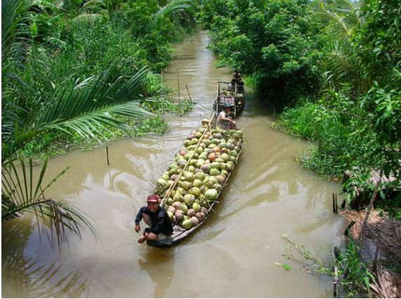 Huyện Chợ Lách, tỉnh Bến Tre là điểm du lịch thu hút nhiều du khách trong và ngoài nước bởi nơi đây sở hữu “vương quốc cây trái” và “con đường hoa kiểng – cây giống” vô cùng ấn tượng. Ảnh: Blogspot.