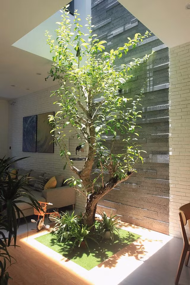 Nha nho, nen thiet ke san trong the nao cho hop ly?-Hinh-7