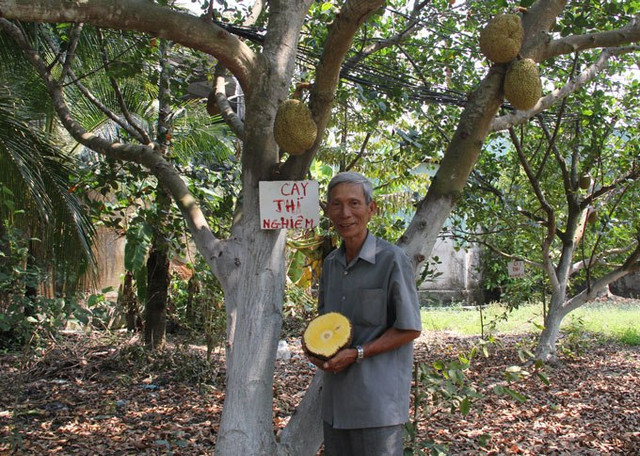 Có năm, ông đã bán được khoảng 35.000 cây giống. Ảnh: Wp.