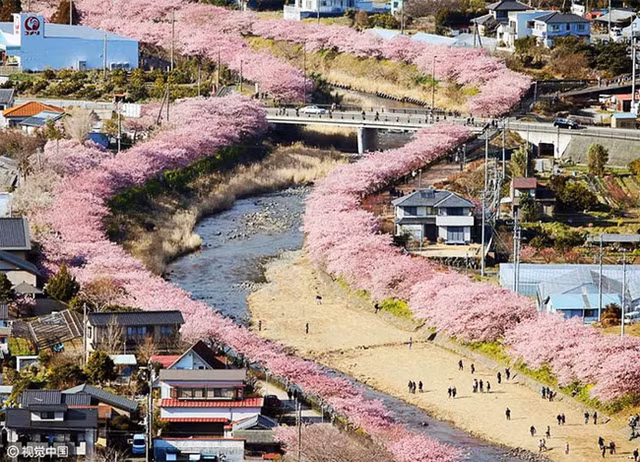 Co mot nuoc Nhat dep nhu Photoshop vao mua hoa anh dao no