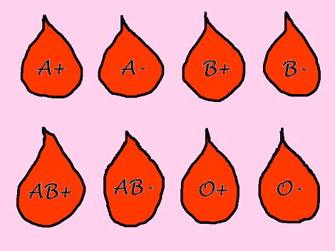 9 bi an ve the gioi khien cac nha khoa hoc bo tay-Hinh-7