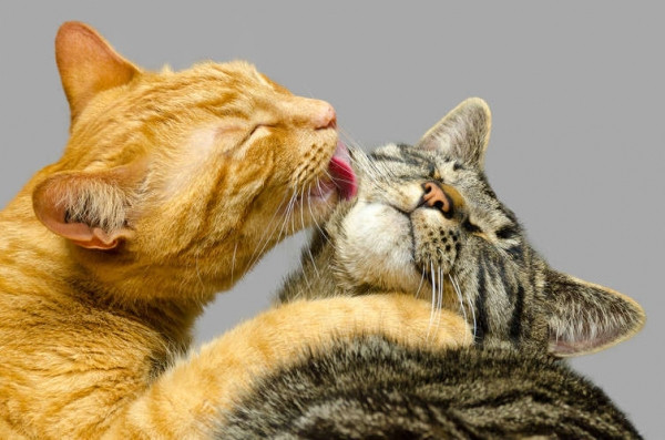 9 bí ẩn về thế giới khiến các nhà khoa học bó tay 9 bi an ve the gioi khien cac nha khoa hoc bo tay
