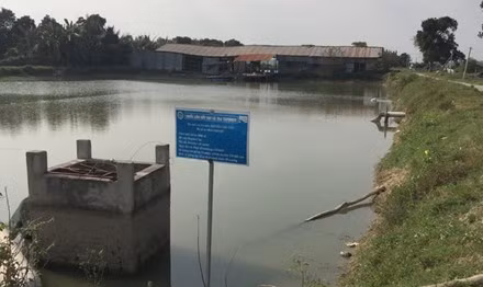 Một trong những ao nuôi cá tra theo chuỗi nay hoang tàn.