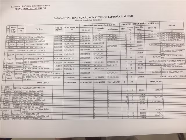 Các khoản nợ BHXH của các công ty con Tập đoàn Mai Linh.