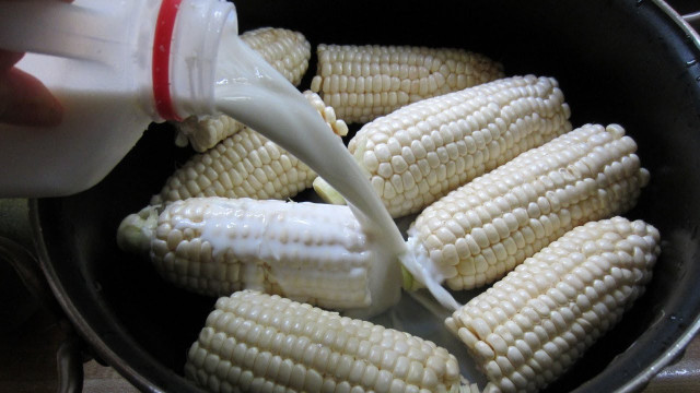 Luộc ngô bằng pin giúp người bán lãi cao. Ảnh minh họa: Youtube. Luộc ngô bằng pin giúp người bán lãi cao. Ảnh minh họa: Youtube.