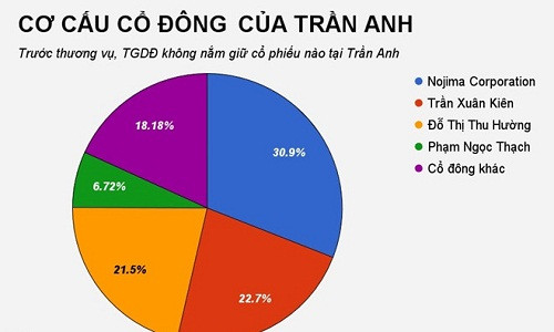 Cơ cấu cổ đông của Trần Anh trước khi Thế Giới Di Động vung tiền thâu tóm tại đây. Cơ cấu cổ đông của Trần Anh trước khi Thế Giới Di Động vung tiền thâu tóm tại đây.
