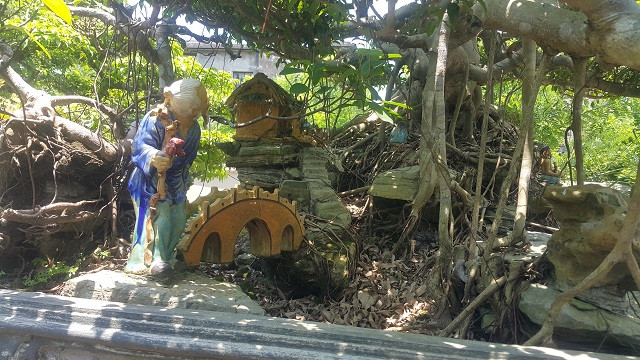 Theo chủ nhân của cây sanh này cho biết, thời diểm cây sốt có người trả ông lên đến gần 1 tỷ đồng.