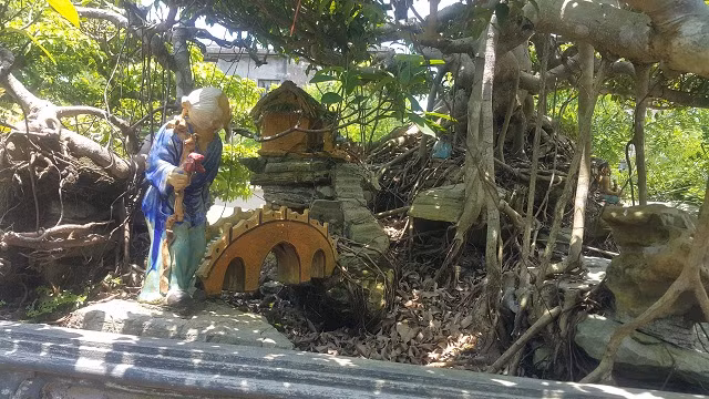 Theo chủ nhân của cây sanh này cho biết, thời diểm cây sốt có người trả ông lên đến gần 1 tỷ đồng.