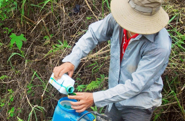 Không khó khăn gì để mua thuốc diệt cỏ.