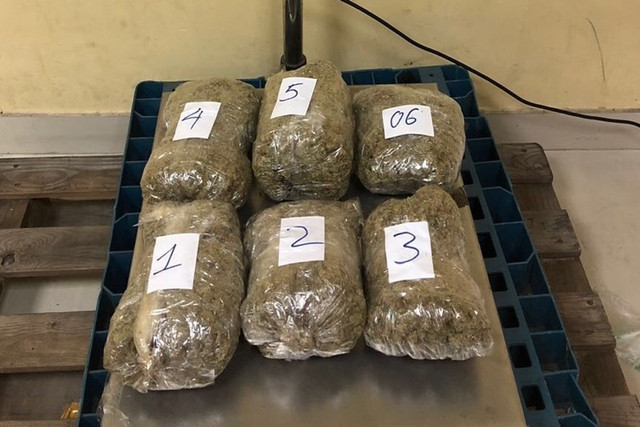 TPHCM: Triệt phá đường dây vận chuyển 57 kg cần sa từ Mỹ về Việt Nam TPHCM: Triet pha duong day van chuyen 57 kg can sa tu My ve Viet Nam