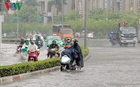 Ảnh minh họa Ảnh minh họa